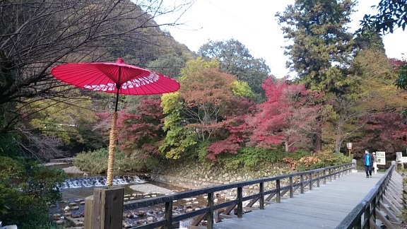 京都紅葉1.jpg