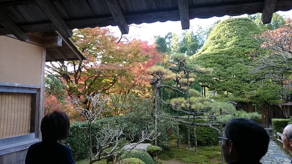 京都紅葉8.jpg